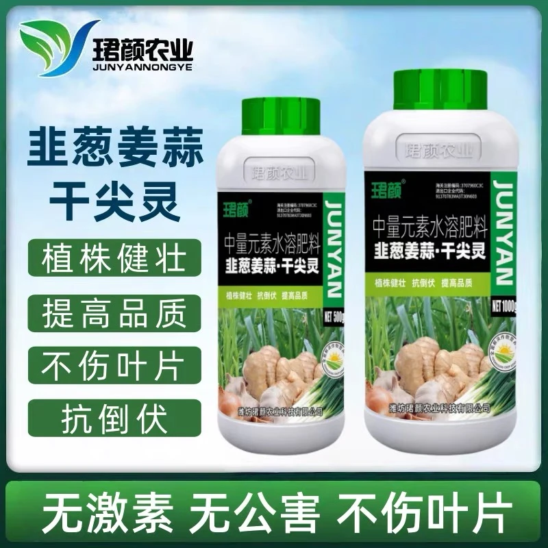 韭葱姜蒜干尖灵粗壮绿嫩黑亮防干尖全营养不伤叶片抗倒伏水溶肥