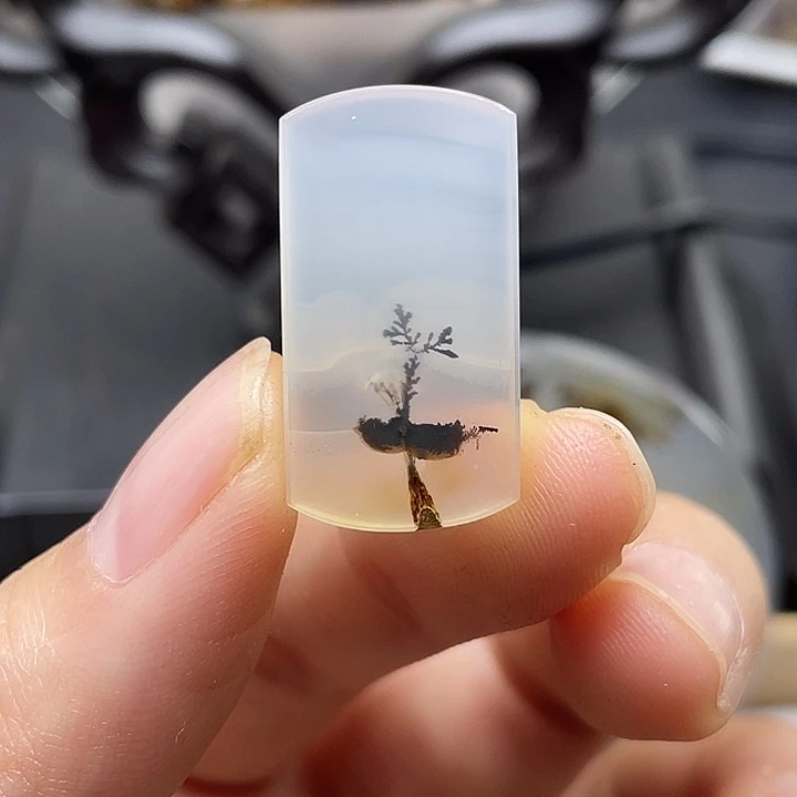 海***洋玛瑙/玉髓未镶嵌颈饰