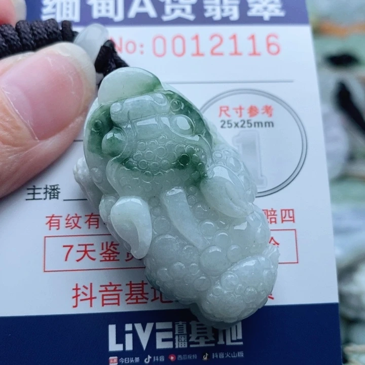 翡翠未镶嵌颈饰一