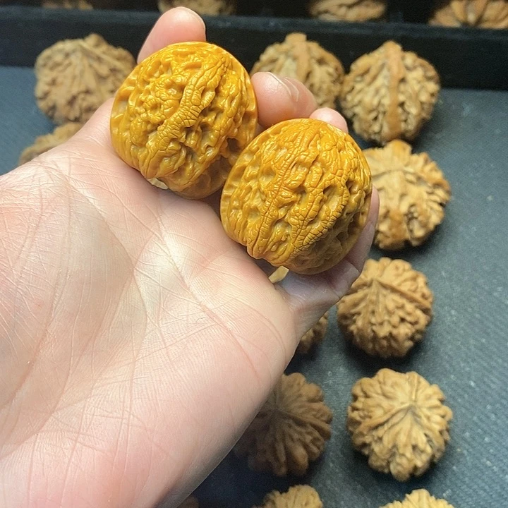 我是一只小小鸟地域鬼的