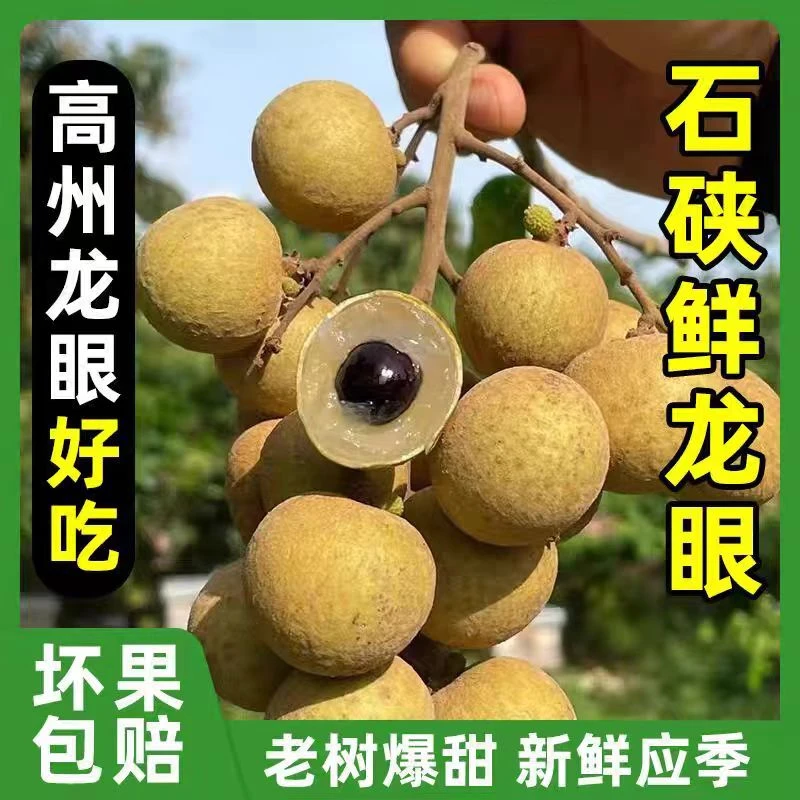 【顺丰冷链包邮】广东高州石硖龙眼肉多香甜可口当天现摘现发新鲜