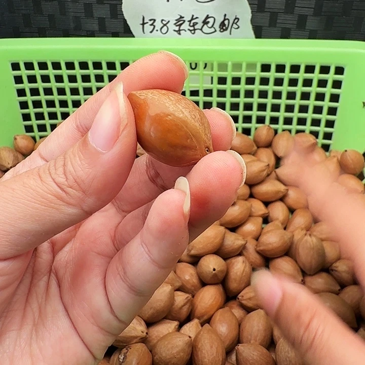 难***涂手串/手链橄榄核橄榄