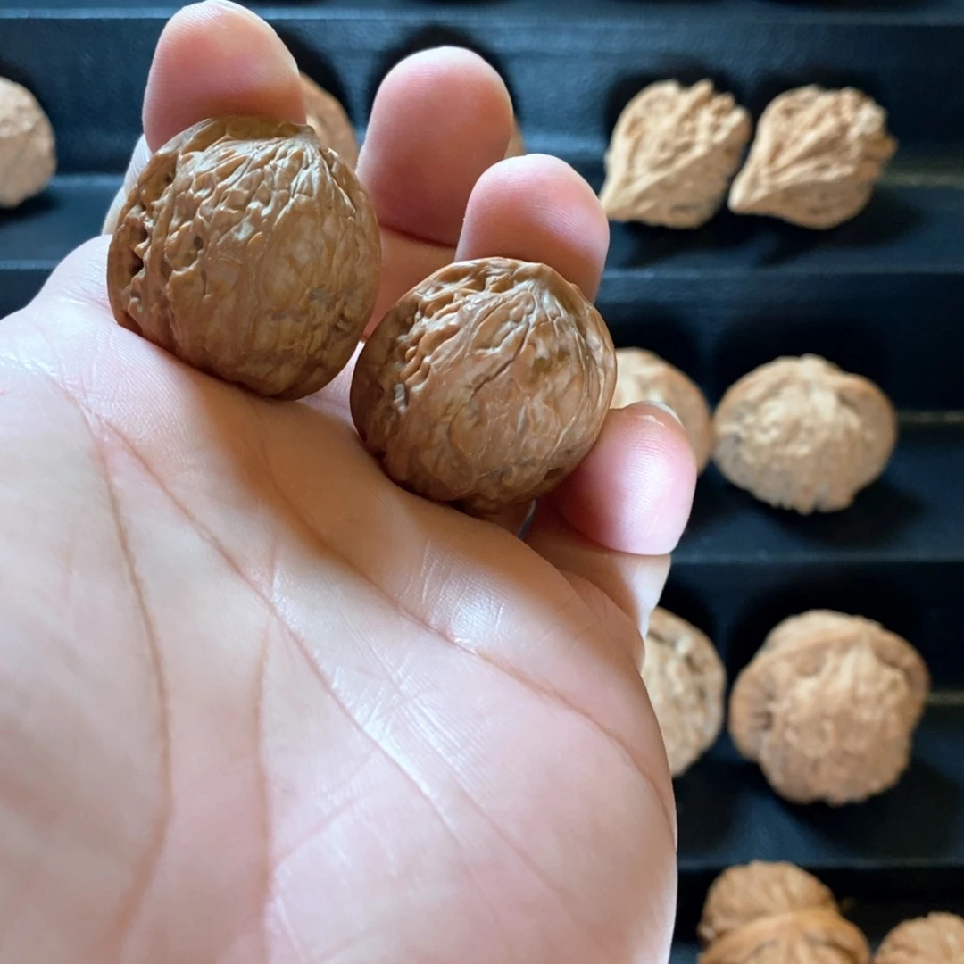 桃核把件W*野生原树鸡心30