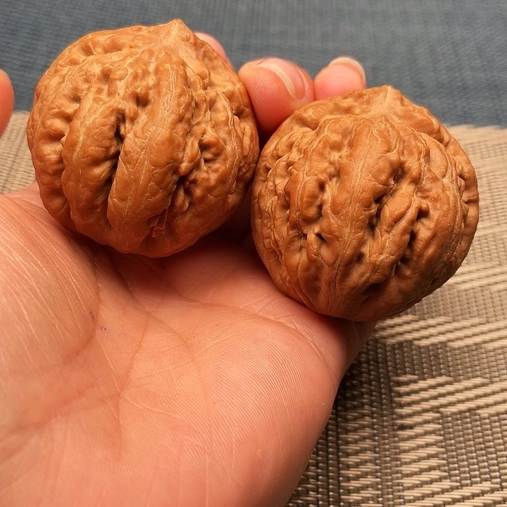 参***心霸王龙文玩核桃42