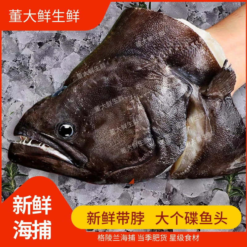深海碟鱼头 新鲜鸦片鱼头 肉嫩比目鱼头 海鱼