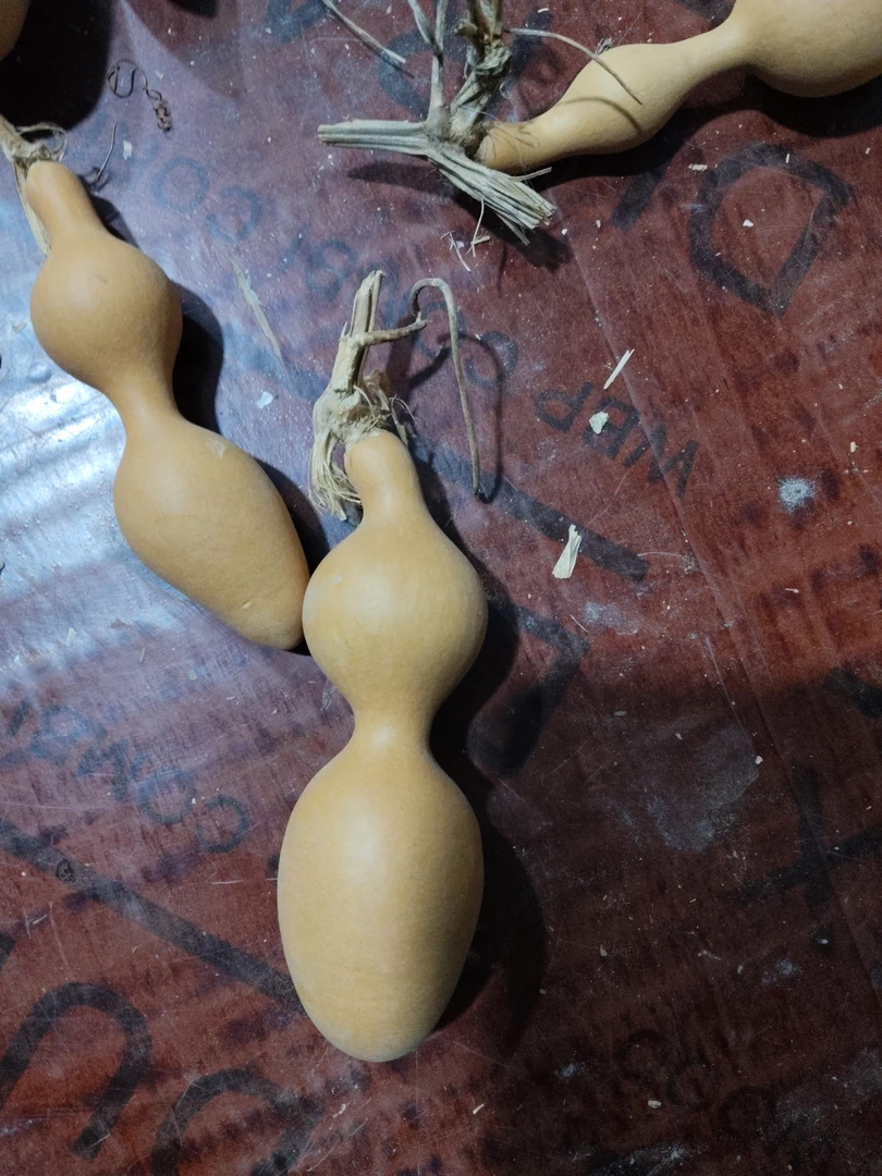 精品厚皮响籽葫芦手把件天然文玩龙头手捻葫芦