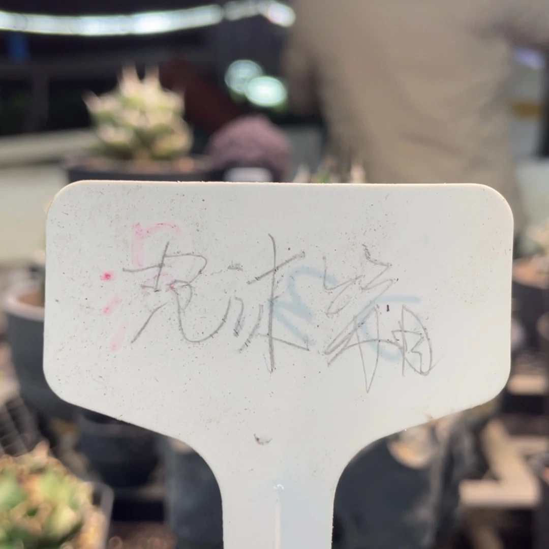 T***扬加保温箱8888888888