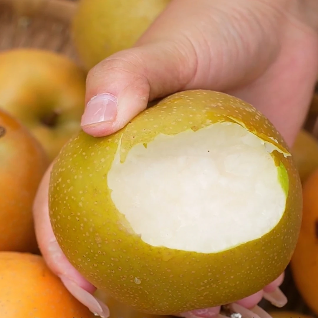 务川黄花梨10斤装现摘发货务川梨子