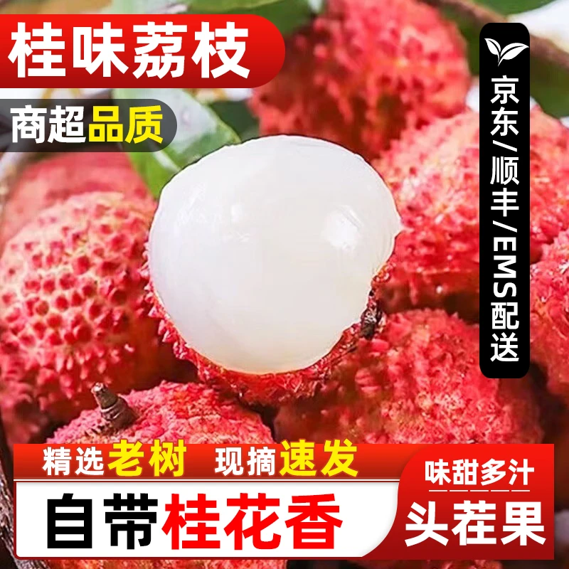 【顺丰/京东/EMS冷链】广东正宗桂味荔枝新鲜现摘老树 绿野幺妹