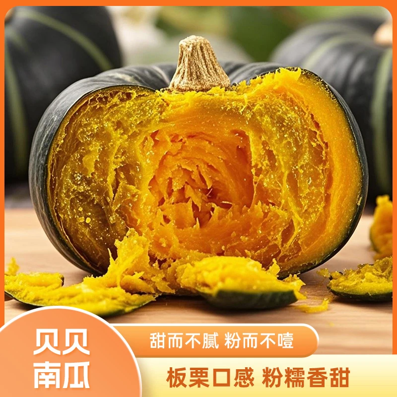 【不粉包赔】贝贝南瓜粉糯香甜辅食当季应季南瓜整箱包邮