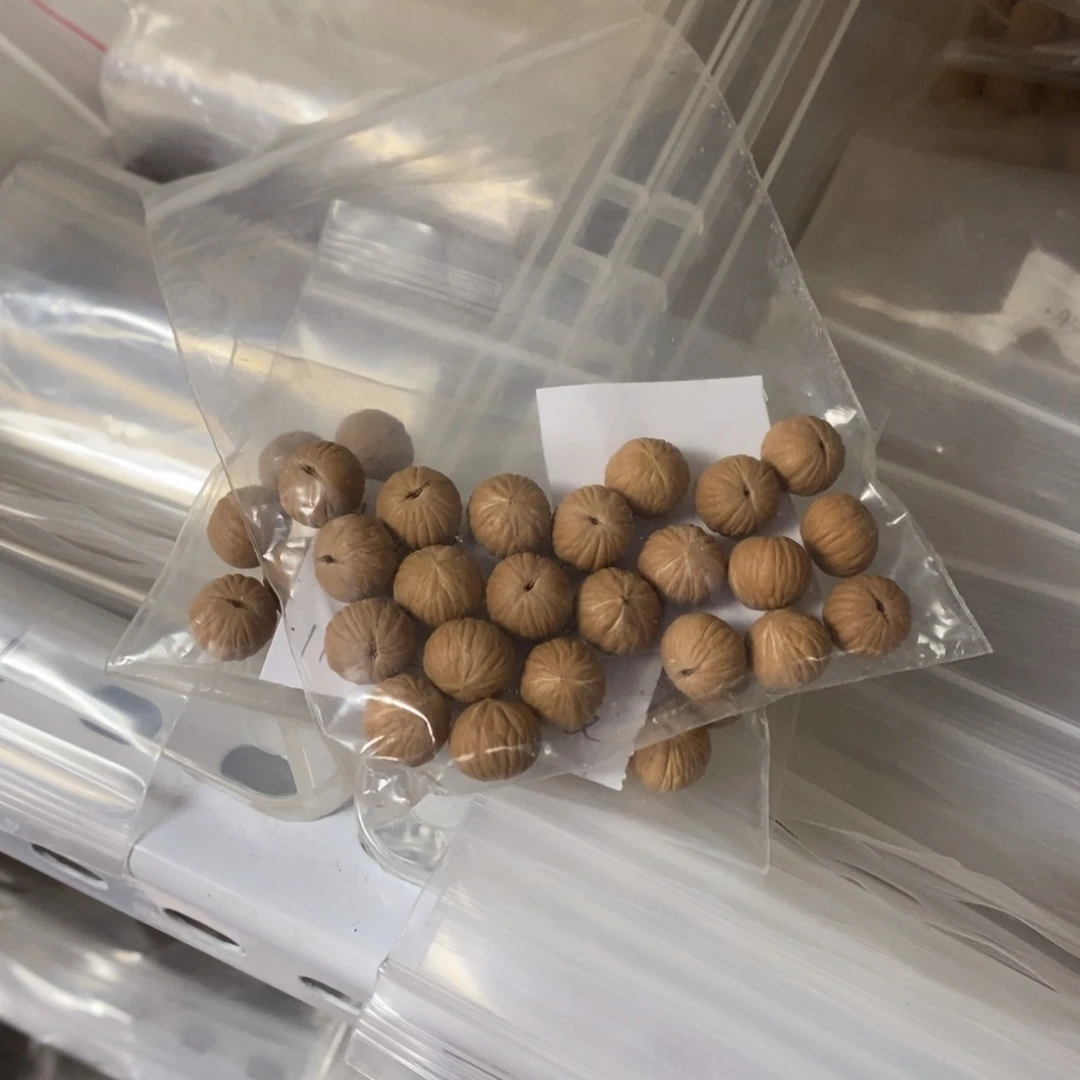 吊坠猴头核桃猴头