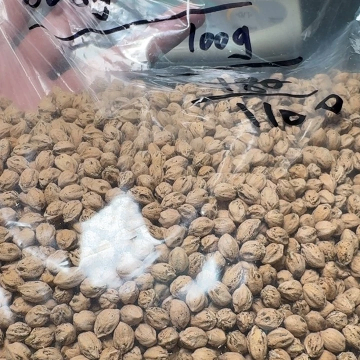 柏香籽/百香籽吊坠知****香