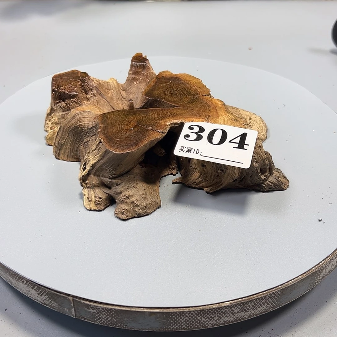 大果紫檀（缅甸花梨）群*哥