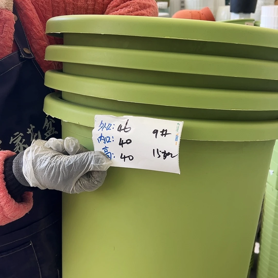 四季盆9#果绿色4个无托