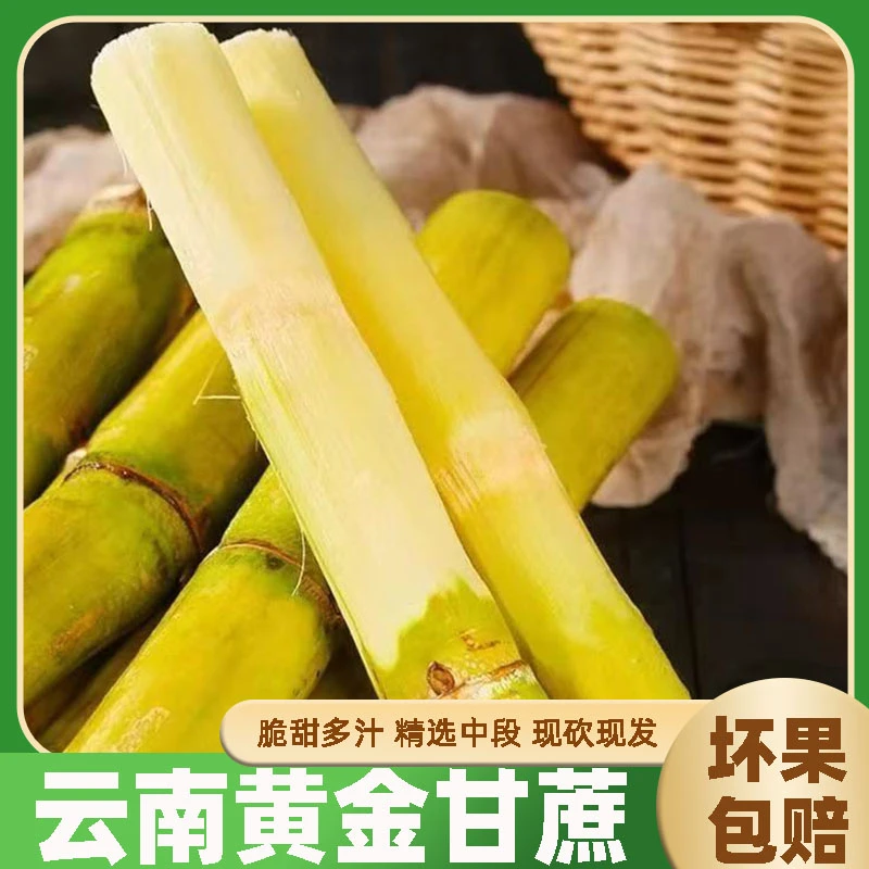 云南新鲜黄金甘蔗热带水果黄皮甜蔗特产应季当季水果整箱批发包邮