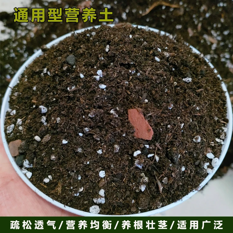 通用型营养土花卉绿植盆景专用土有机肥料种植泥炭自用5升营养土