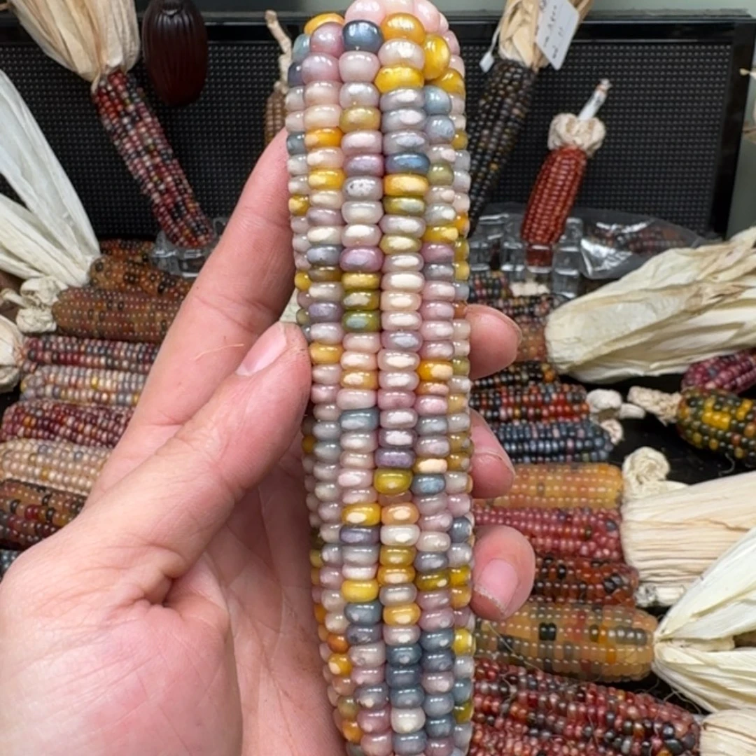 柏香籽/百香籽吊坠ʚ****