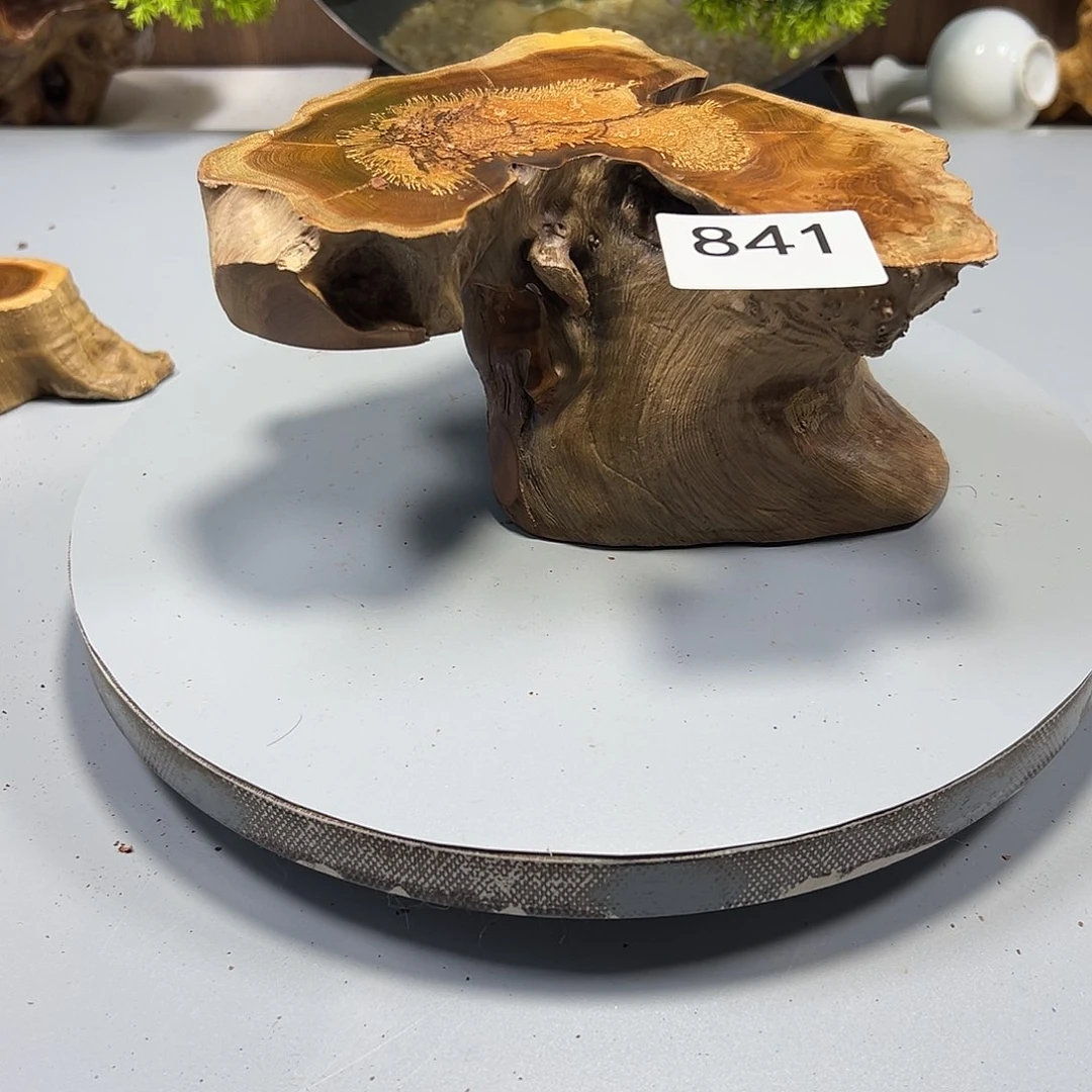 大果紫檀（缅甸花梨）信*