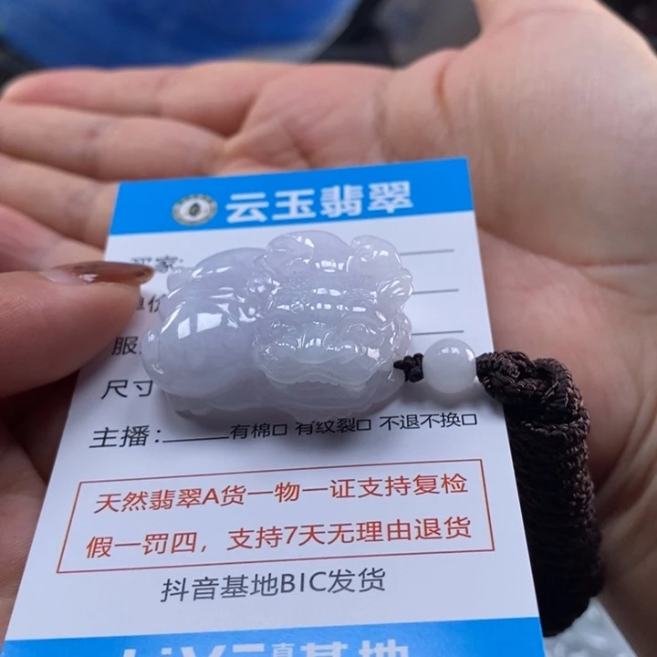 颈饰未镶嵌翡翠多人貔貅