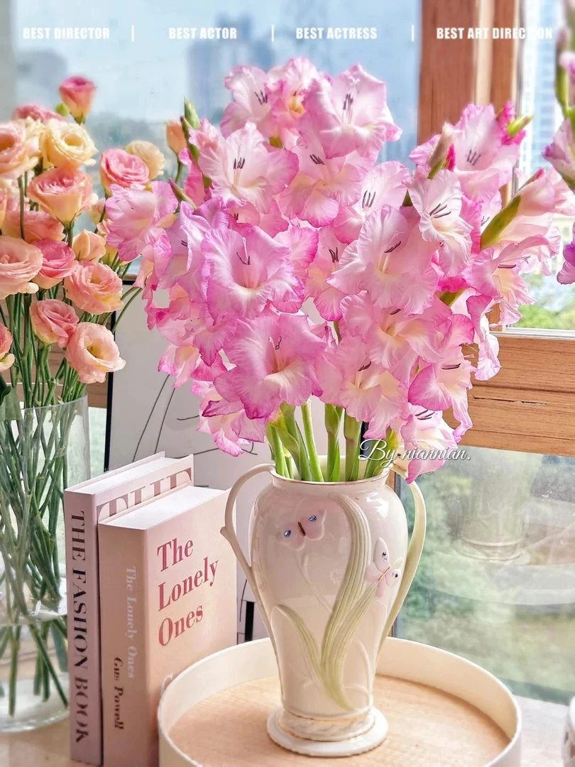 婵之语优选 花边剑兰鲜切花日常瓶插