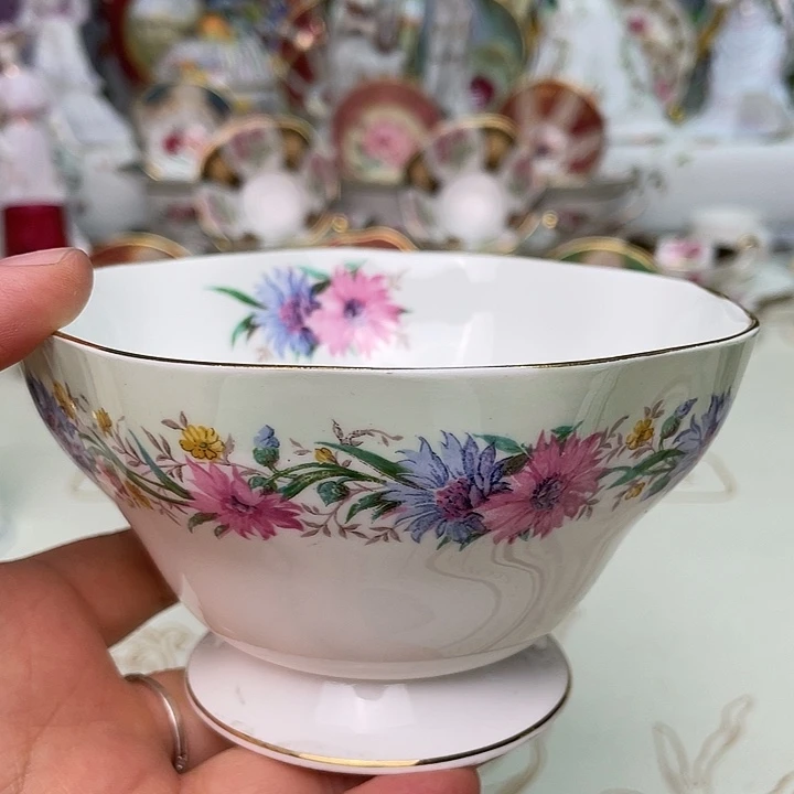 盘维多利亚欧洲中古