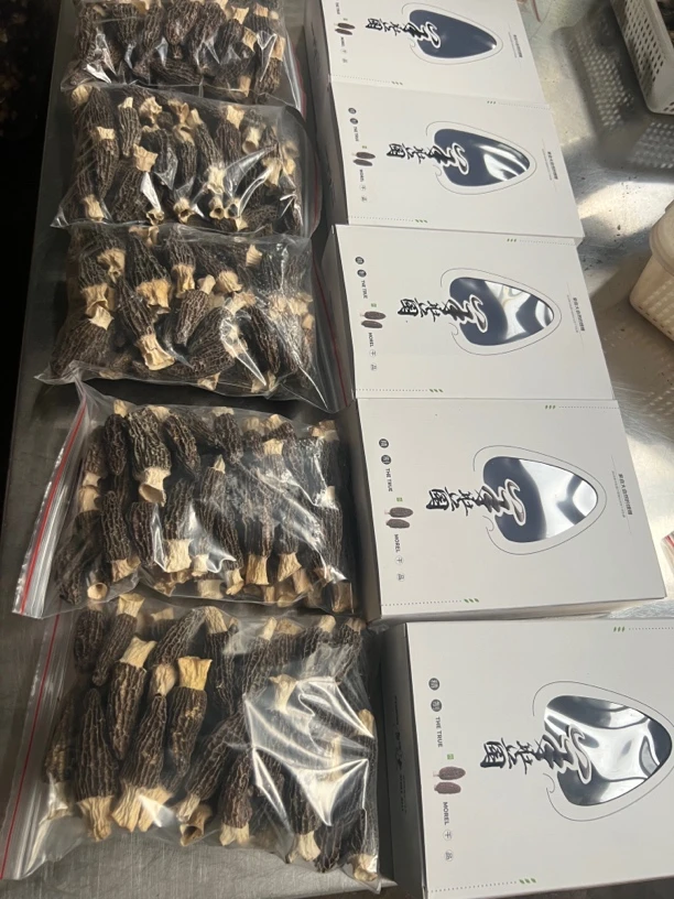 川货头茬厚肉6一10羊肚菌