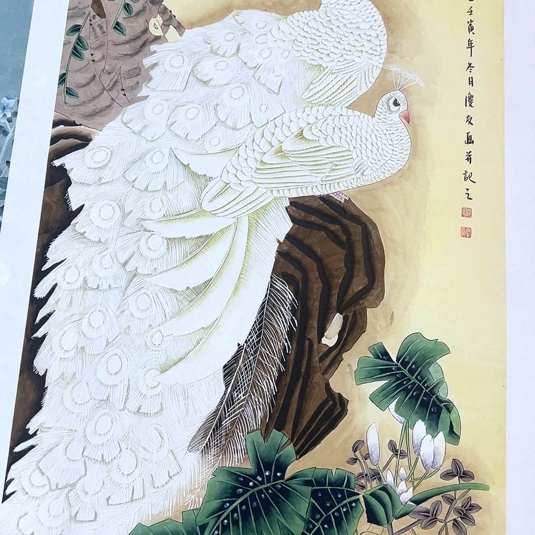 竖款福利来了来了来了来