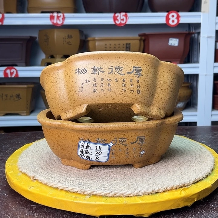 花盆紫砂蛇年大吉