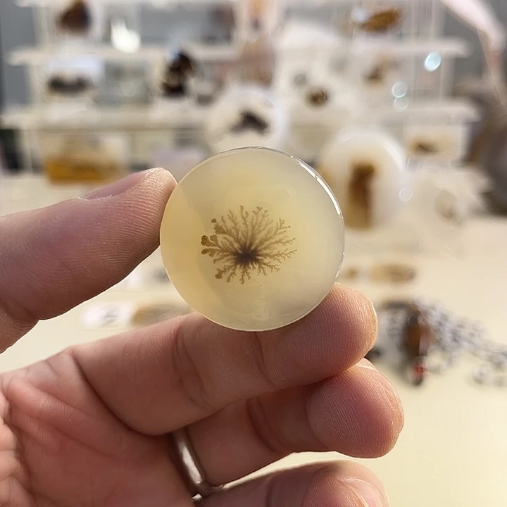 玛瑙/玉髓吊坠(不含链)未镶嵌