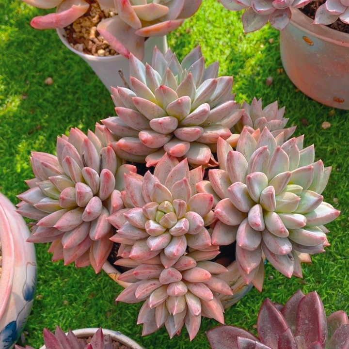 谢谢你的支持0000058