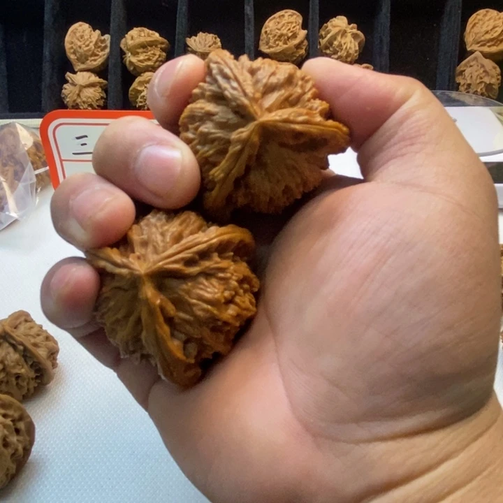 *****无花朵14517525854554