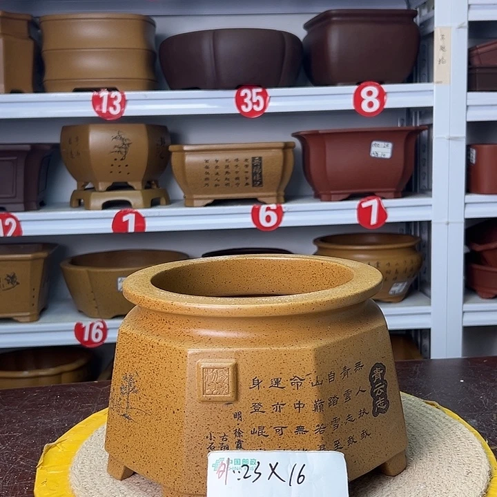 紫砂花盆蛇年大吉