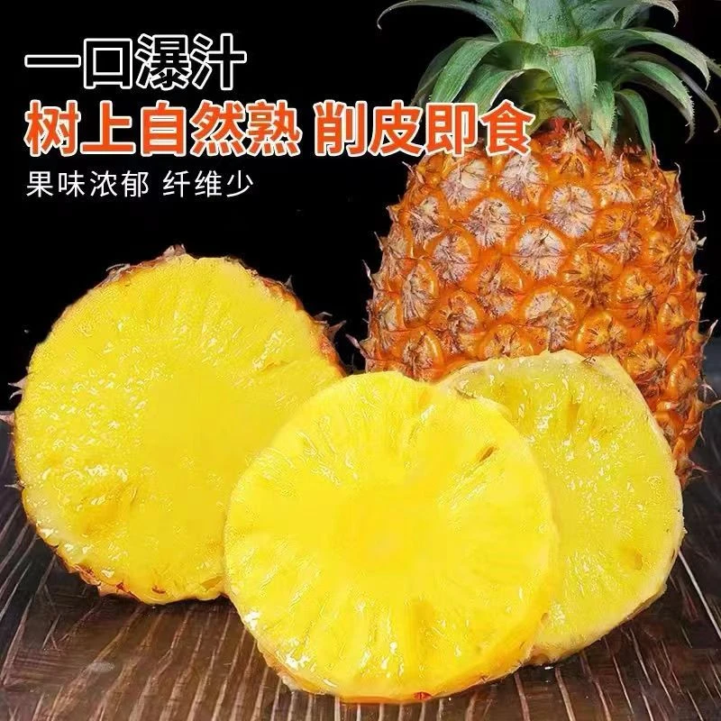 金钻凤梨海南新鲜成熟无眼金菠萝手撕凤梨 食用香甜多汁 2仓发货