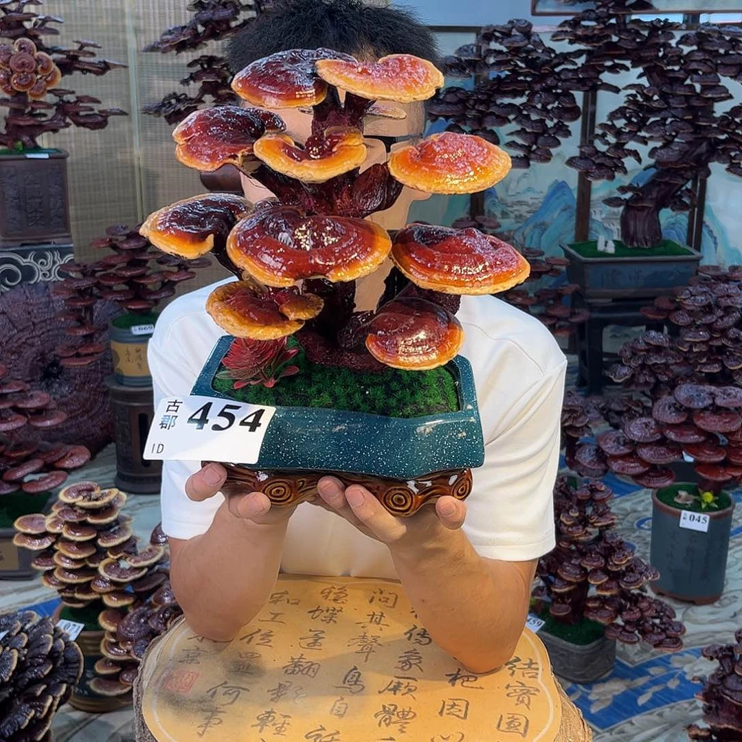 无花朵88888888888