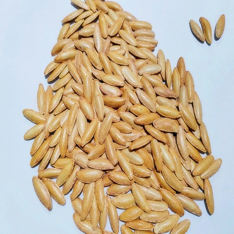 新货甄选长粒美人甲南瓜子休闲椒盐原味坚果型南瓜籽小零食