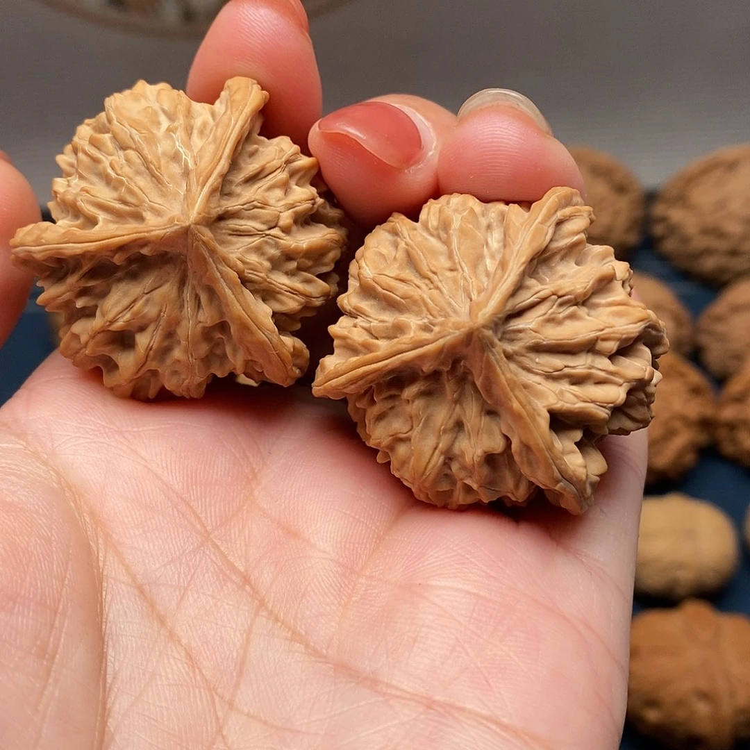 核桃把件8盘山三棱全品尺寸38