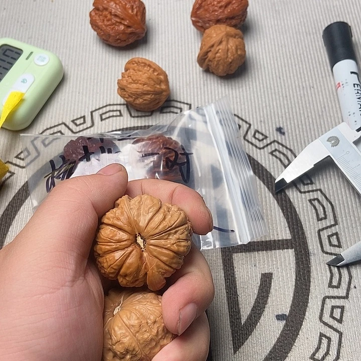核桃种植和加工产业基地发展