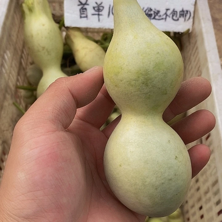 珍*1哈哈哈哈哈哈哈哈哈