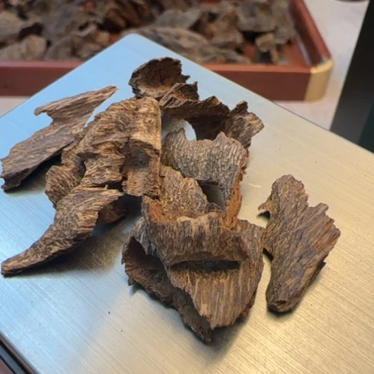 摆件沉香老海南野鸡母虫3.3克