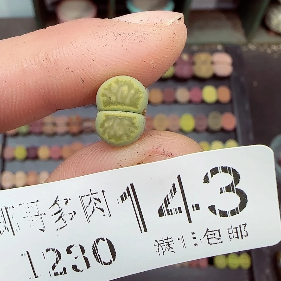 满满18包邮1230-143