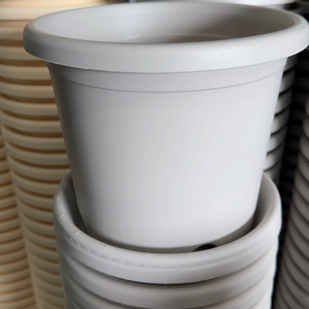 树脂特价3#无拖灰白10个