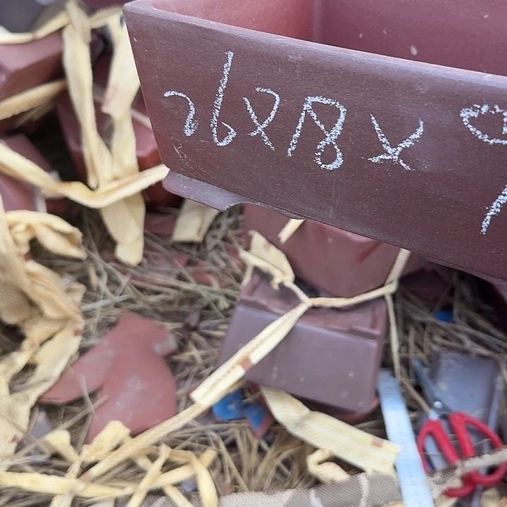 吸收吸收就知道有多么幸福快乐呀