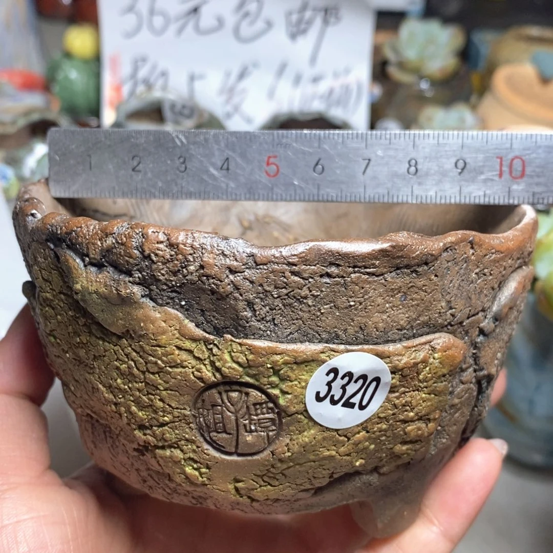 拍5送一个小礼物