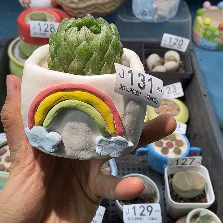 131大舅生石灰灰灰