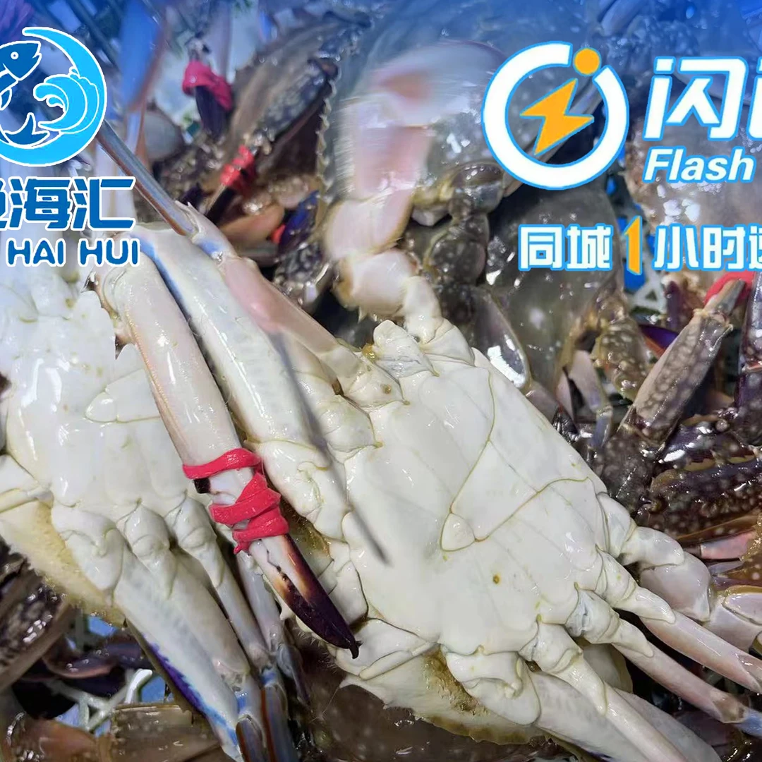 现挑刚挂梭子蟹公母随机3斤装2/3左右一只每份12-15只左右加冰发货海鲜梭子蟹同城