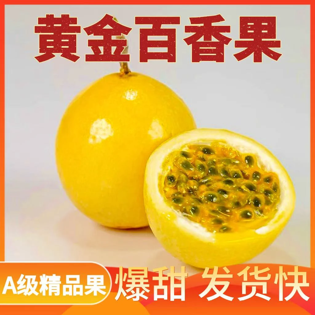 正宗钦蜜9号黄金百香果新鲜现摘当季水果香甜多汁头茬果送开果器