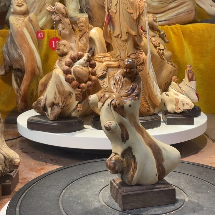 柏木（崖柏）崖柏   弥勒