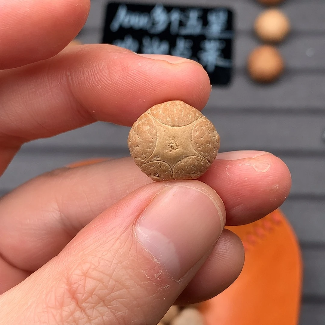 吊坠凤眼菩提17+五星，非质量问题开孔不退