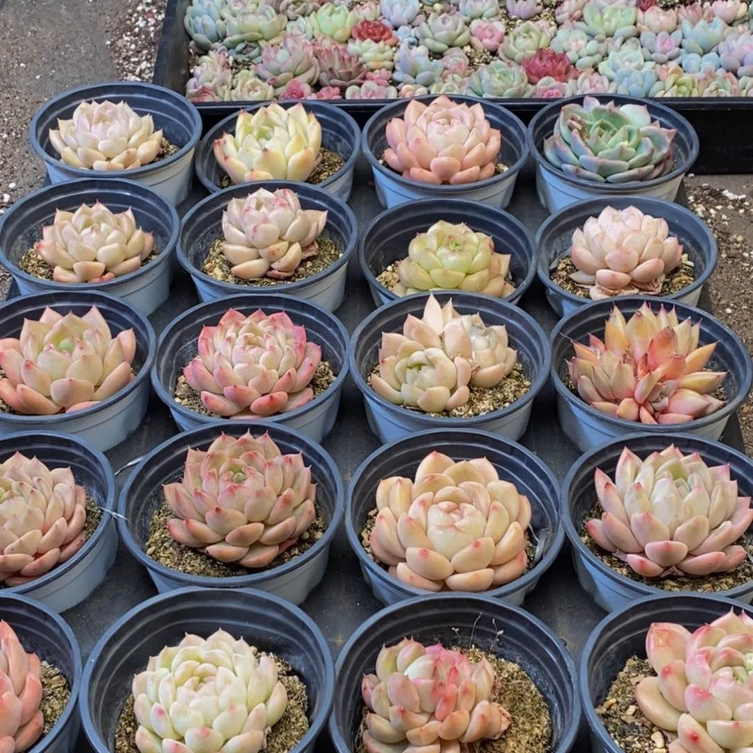 302的人在一起的时候