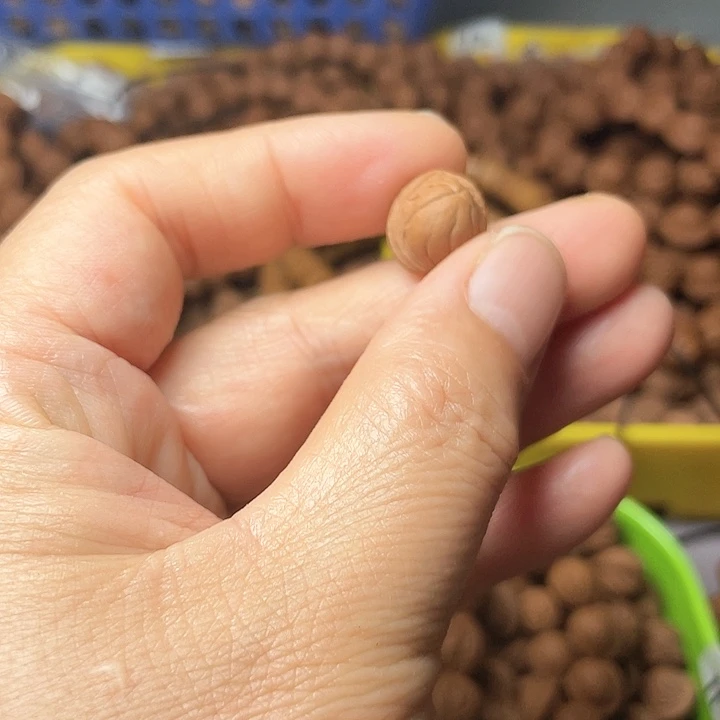 桃核吊坠豆***糖秦岭龙纹小龙纹 12尺寸20颗打孔